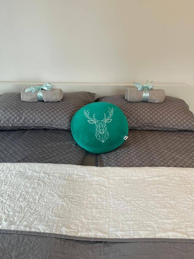 شقة يلينيا غورا  في Apartament Oliwia المظهر الخارجي الصورة